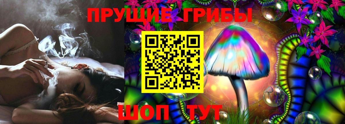 Галлюциногенные грибы мицелий  Вход с VPN  Лосино-Петровский  Галлюциногенные грибы мицелий 